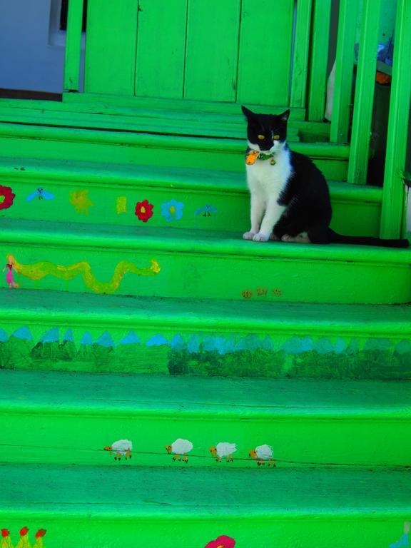 Green Stairs Guest House Tbilisi Bagian luar foto