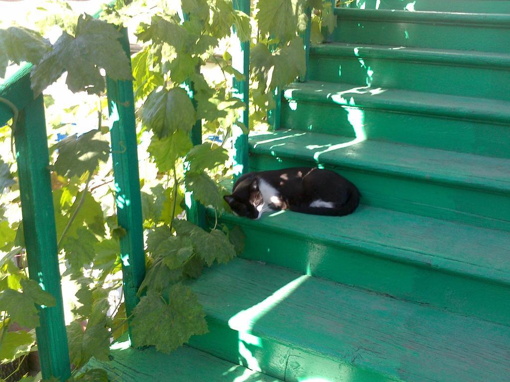 Green Stairs Guest House Tbilisi Bagian luar foto