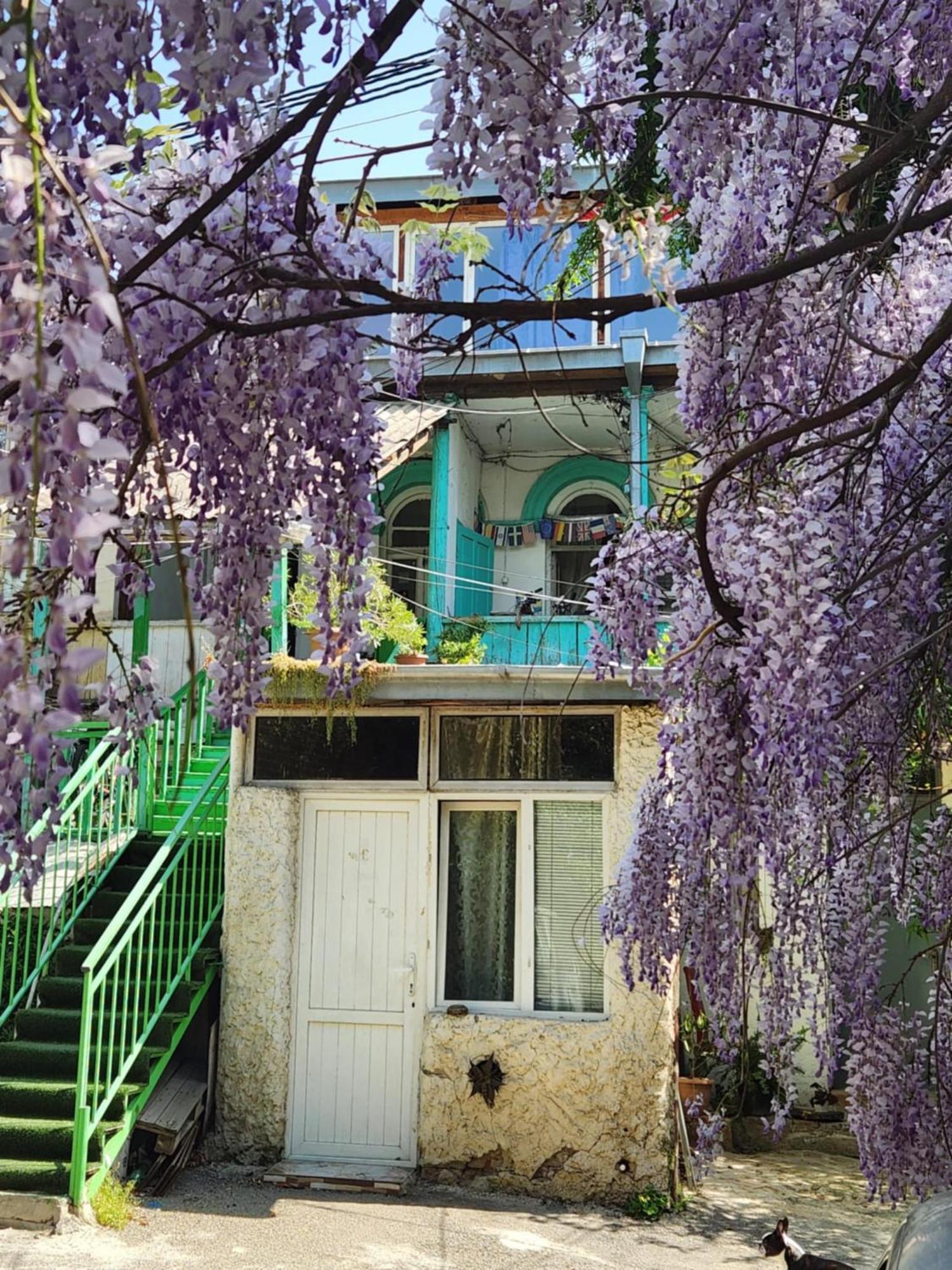Green Stairs Guest House Tbilisi Bagian luar foto