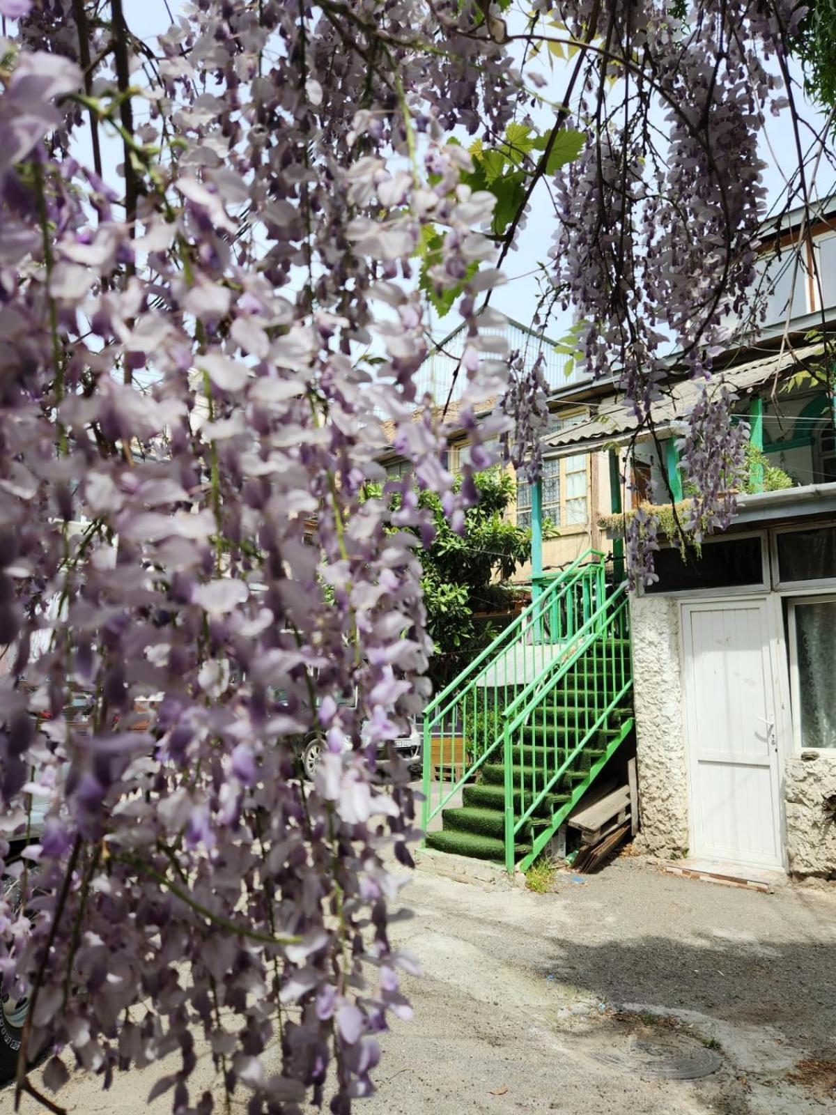 Green Stairs Guest House Tbilisi Bagian luar foto