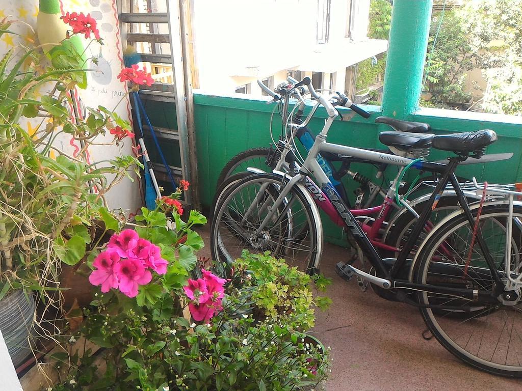 Green Stairs Guest House Tbilisi Bagian luar foto